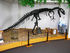 Allosaurus, a Theropod Dinosaur